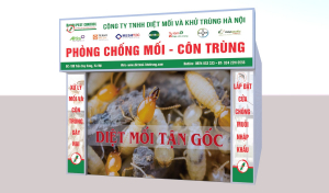 THIẾT KẾ VÀ THI CÔNG BIỂN BẢNG QUẢNG CÁO TẠI 109 TRẦN DUY HƯNG